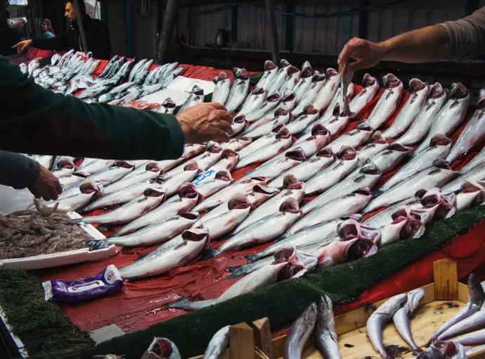 Mañana en el mercado del puerto