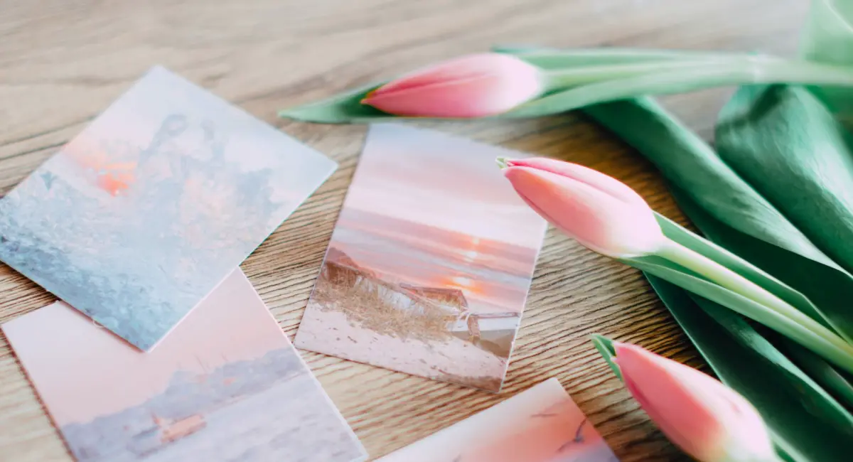 Preparar su portafolio para la revisión en los meses de primavera